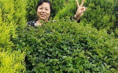 国产zljzljzljzljoci